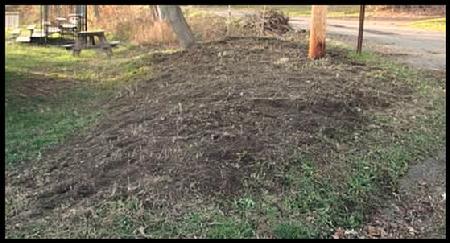 Garden Plot Day 3: Rototilled