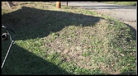 Garden Plot Day 2: Trimmed